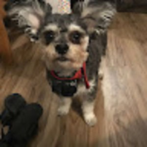 Meet your Posher, Emma-claire